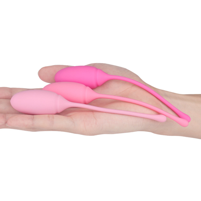 Deluxe Kegel Exercise System