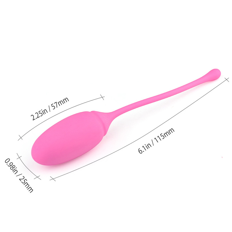 Deluxe Kegel Exercise System