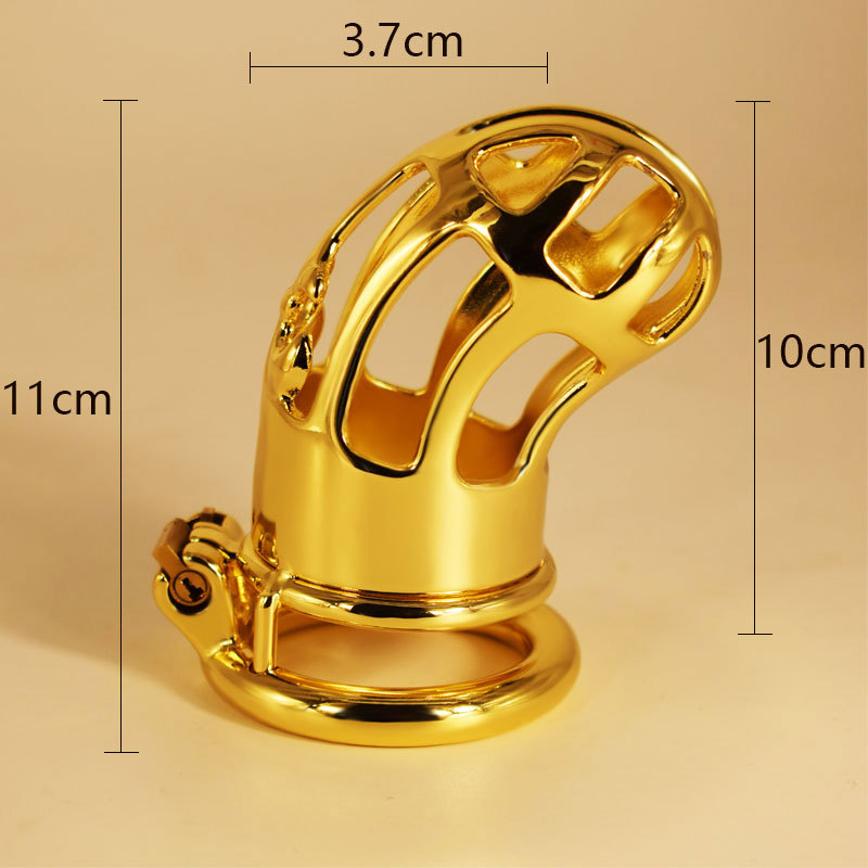 Hollow Out Chastity Cage With Round Ring