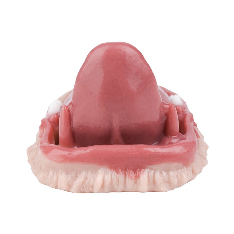 Fantasy Tongue Grinding Vibrator