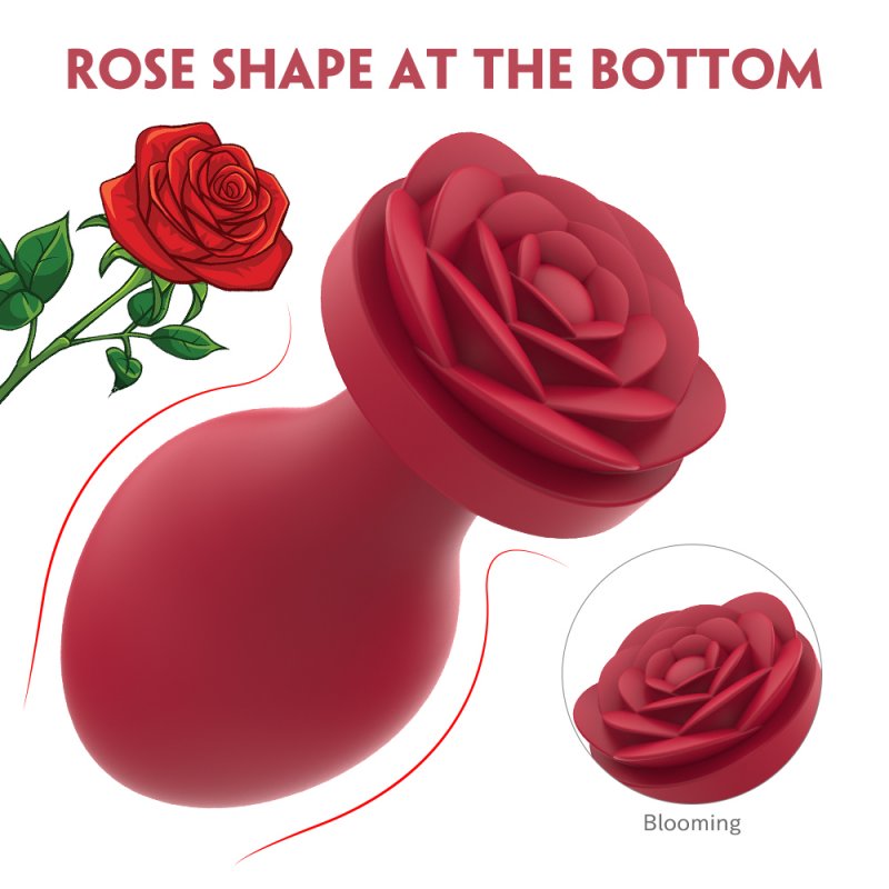 Rosa Silicone Butt Plug Set