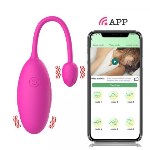 App Remote Control Double-head Rose Egg Vibrator